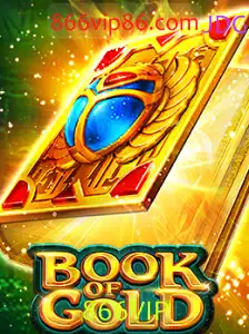 Descubra o Fascinante Mundo de 'Book of Gold'
